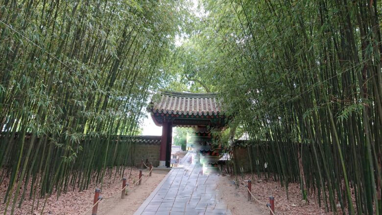 慶基殿裏側にあるの竹林